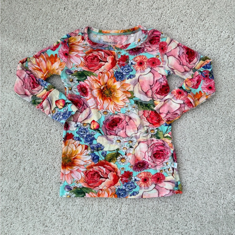 Posh Peanut Long Sleeve 2-Piece Pajama Set - Picture 2 of 11